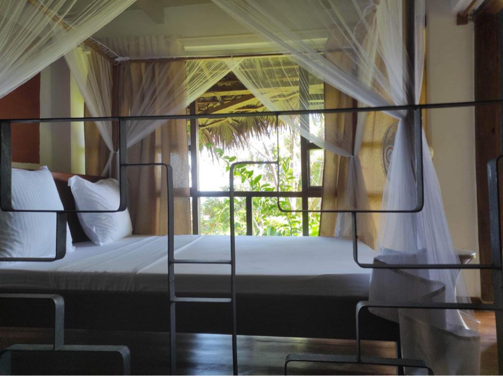 http://www.moemoealodge.com/wp-content/uploads/2023/06/Chambre-climatisee-3.jpg